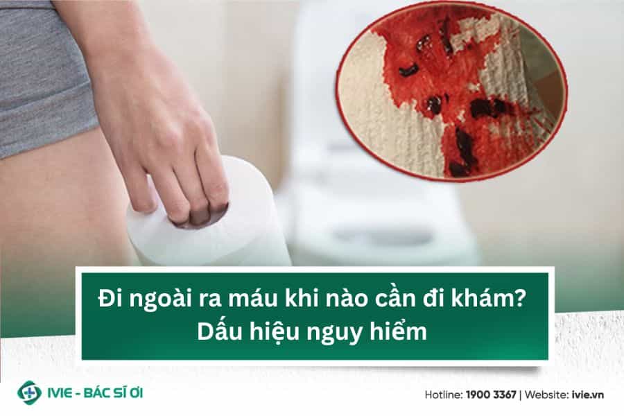 Đi ngoài ra máu khi nào cần đi khám? Dấu hiệu nguy hiểm