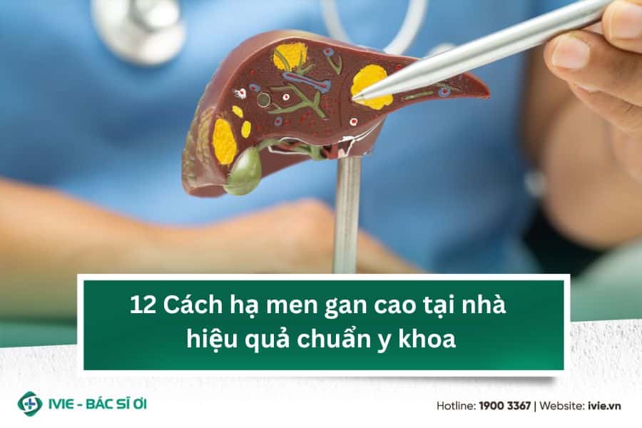 12 Cách hạ men gan cao tại nhà hiệu quả chuẩn y khoa