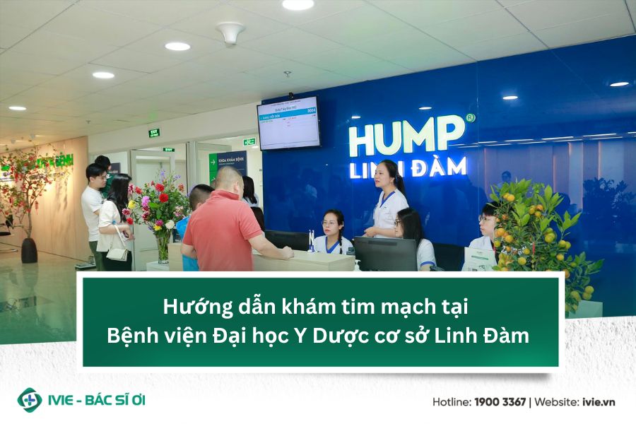 Hướng dẫn khám tim mạch tại Bệnh viện Đại học Y Dược cơ sở...
