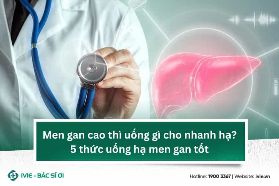 Men gan cao thì uống gì cho nhanh hạ? 5 thức uống hạ men...