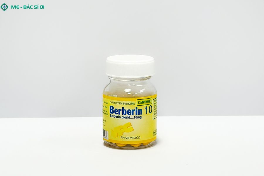 Berberin có tác dụng gì? Cách dùng đúng và lưu ý cần biết