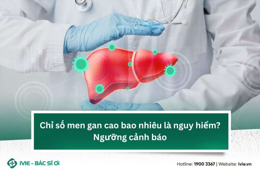 Chỉ số men gan cao bao nhiêu là nguy hiểm? Ngưỡng cảnh báo