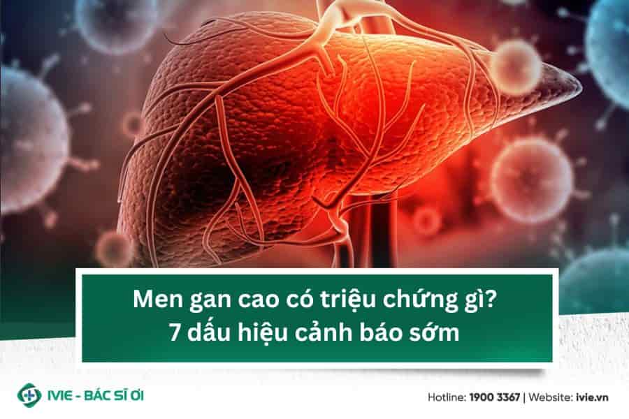 Men gan cao có triệu chứng gì? 7 dấu hiệu cảnh báo sớm