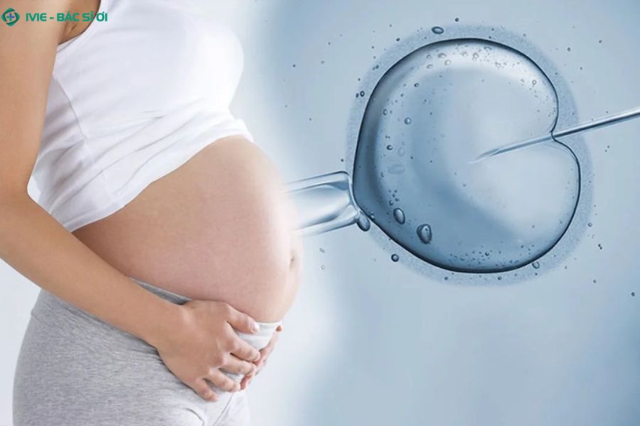 IVF là phương pháp thụ tinh trong ống nghiệm hỗ trợ tăng khả năng mang thai