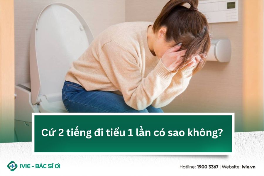 Cứ 2 tiếng đi tiểu 1 lần có sao không?