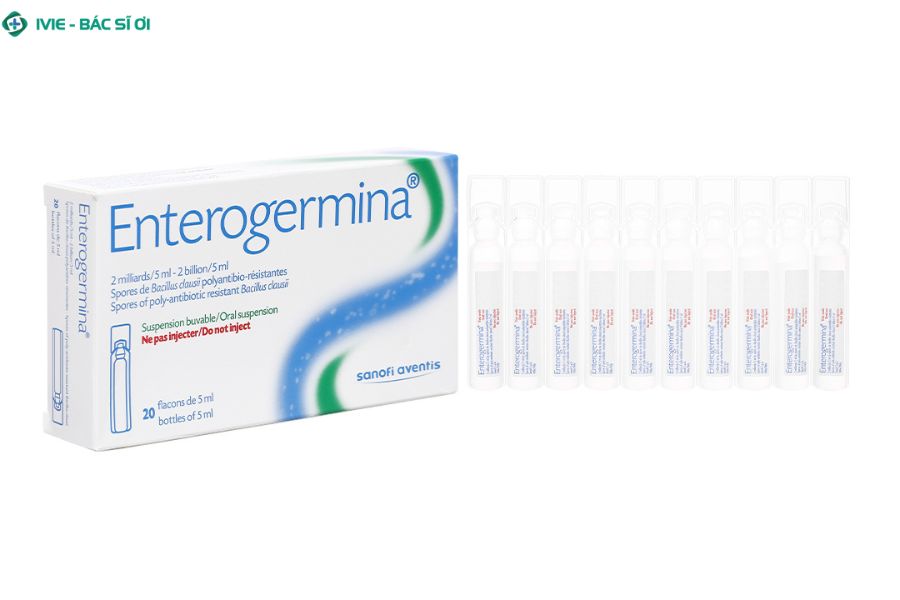 Enterogermina là gì? Công dụng và cách dùng dễ hiểu