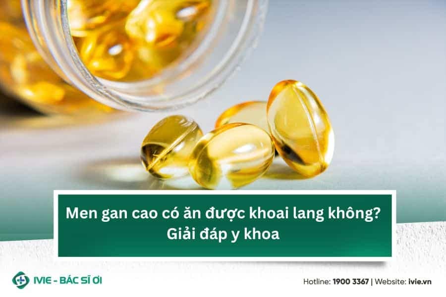 Men gan cao uống omega 3 được không? Lưu ý từ bác sĩ