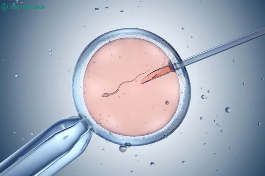 42 tuổi có làm IVF được không? Những điều cần biết