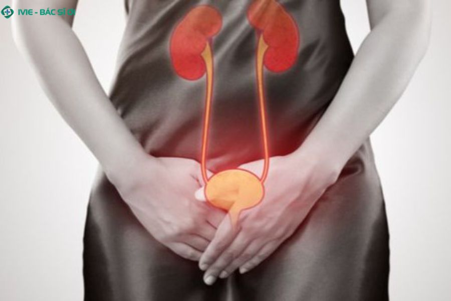 Cặn trắng kéo dài, kèm tiểu buốt hay mùi hôi có thể là dấu hiệu bệnh lý đường tiết niệu