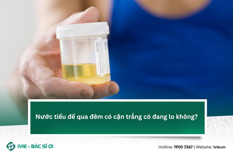 Nước tiểu để qua đêm có cặn trắng có đang lo không?