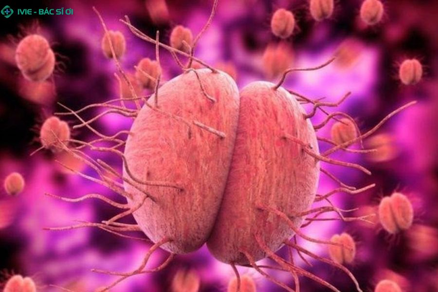 Nguy cơ bệnh khi quan hệ hậu môn không an toàn