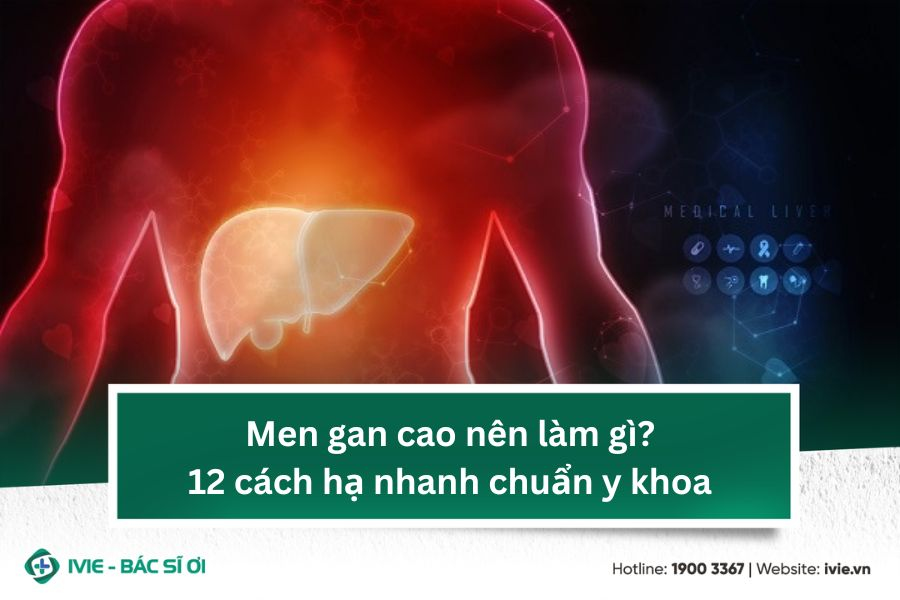 Men gan cao nên làm gì? 12 cách hạ nhanh chuẩn y khoa