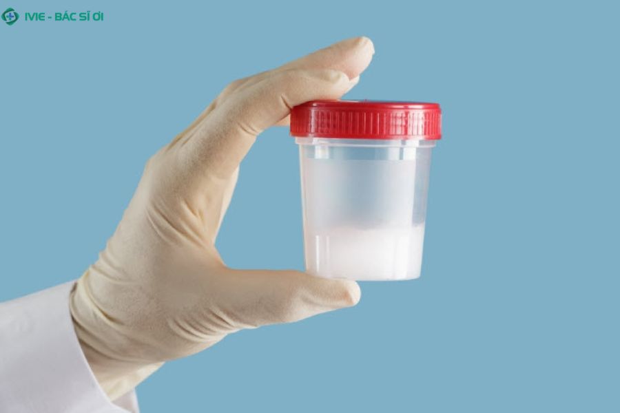 Nữ chuyển giới thành nam có tinh trùng không