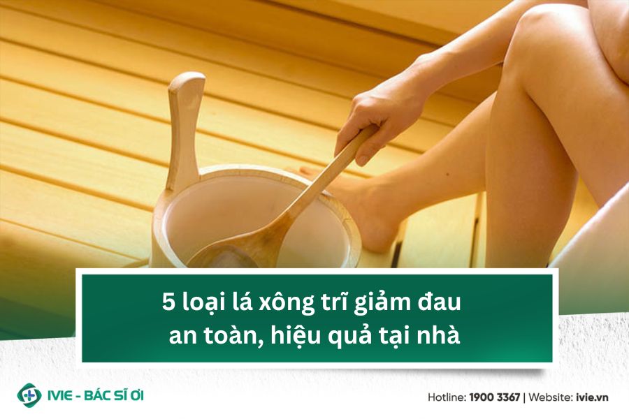 5 loại lá xông trĩ giảm đau an toàn, hiệu quả tại nhà