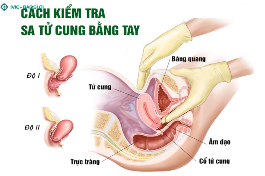 Thăm khám chuyên khoa là cách an toàn và chính xác nhất để xác định tình trạng sức khỏe vùng kín