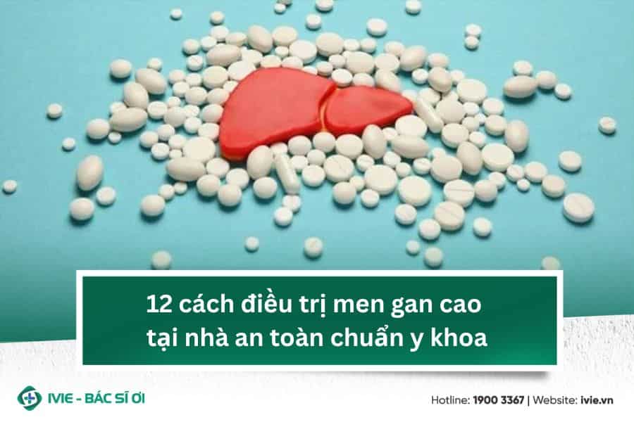 12 cách điều trị men gan cao tại nhà an toàn chuẩn y khoa