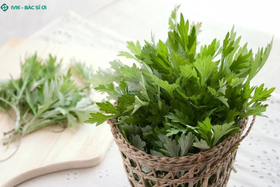 Cách xông trĩ bằng lá ngải cứu