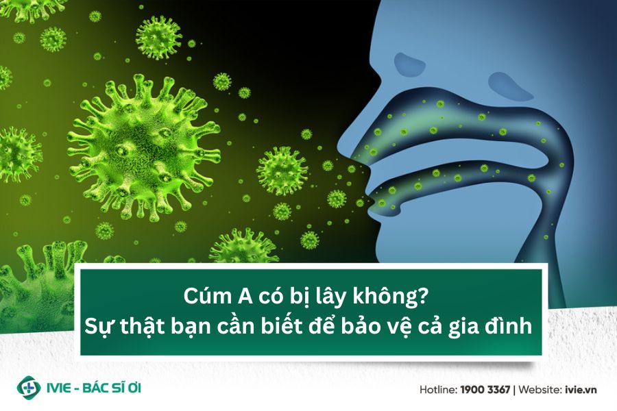 Cúm A có bị lây không? Sự thật bạn cần biết để bảo vệ cả...