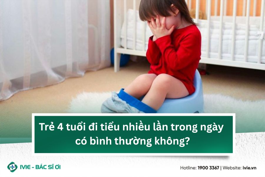 Trẻ 4 tuổi đi tiểu nhiều lần trong ngày có bình thường...