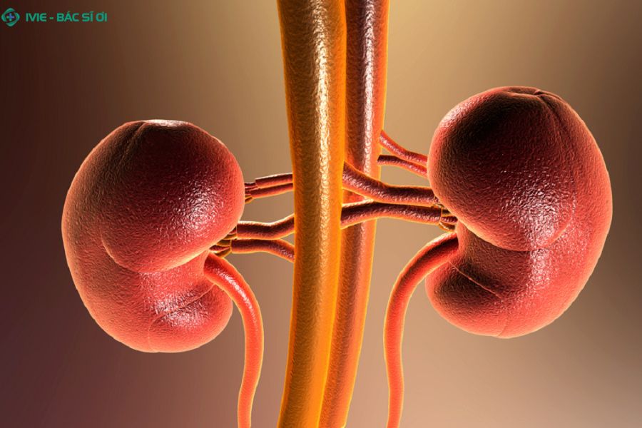 Tiểu đêm nhiều dấu hiệu cảnh báo thận yếu bạn không nên chủ quan