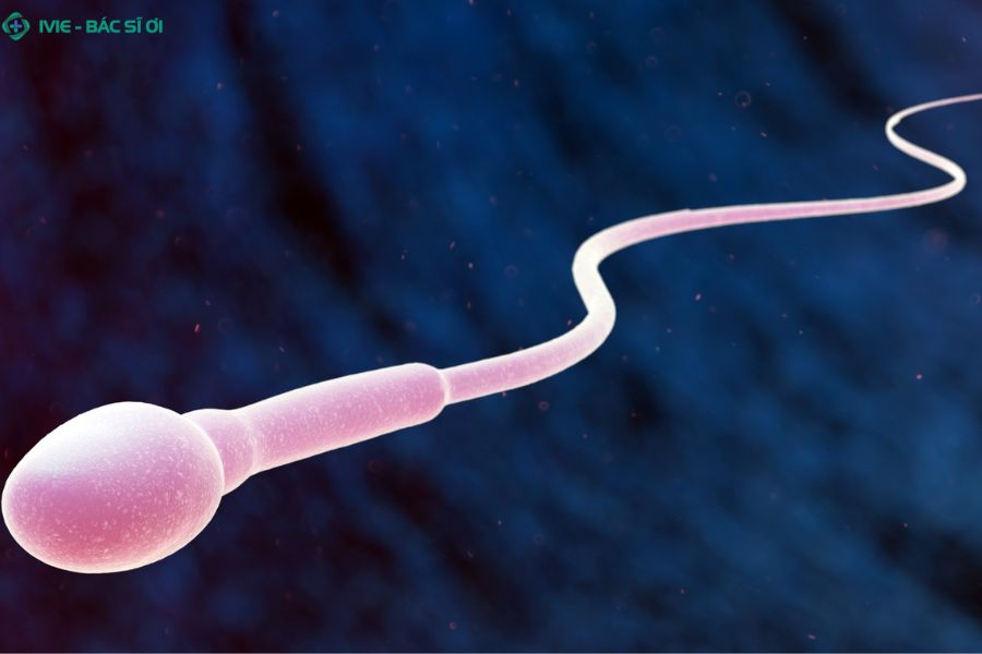 Tần suất xuất tinh quá dày đặc có thể khiến tinh trùng bị loãng tạm thời, ảnh hưởng đến mật độ tinh binh trong tinh dịch