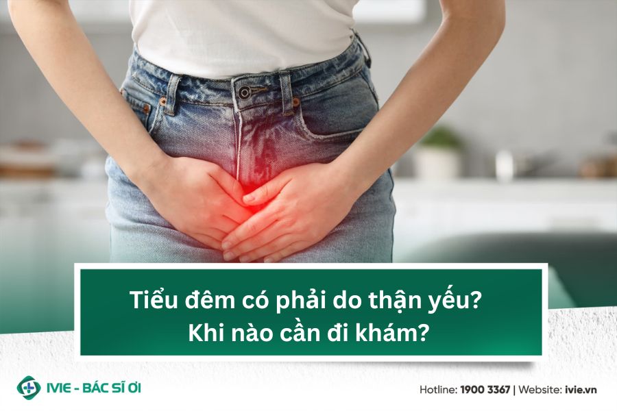 Tiểu đêm có phải do thận yếu? Khi nào cần đi khám?