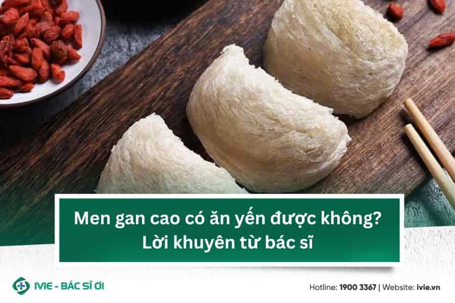 Men gan cao có ăn yến được không? Lời khuyên từ bác sĩ