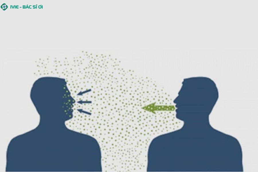 Viêm não mô cầu lây qua đường nào