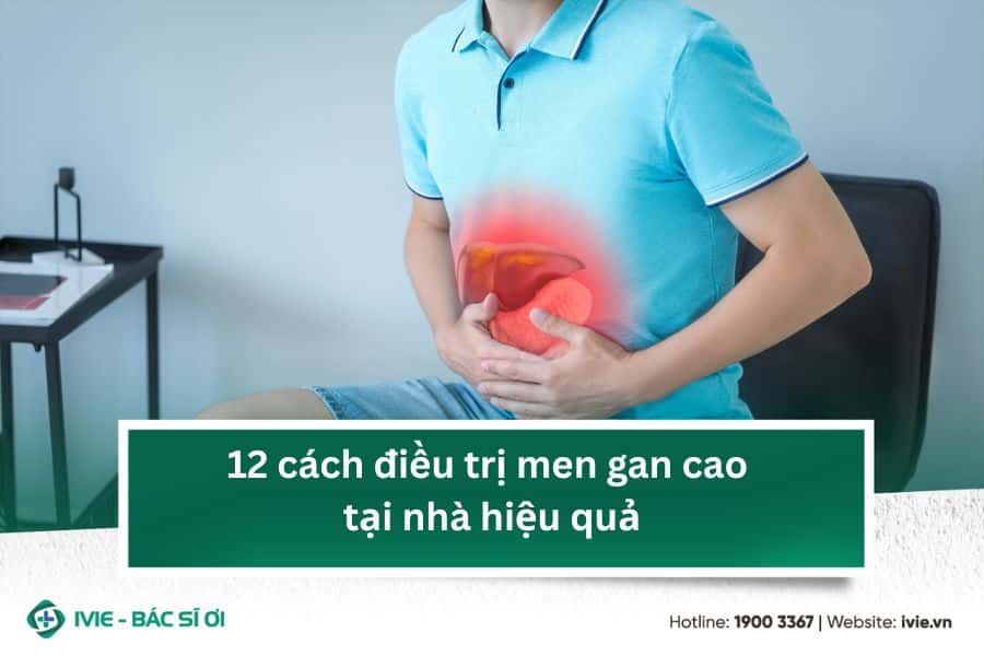 12 cách điều trị men gan cao tại nhà hiệu quả