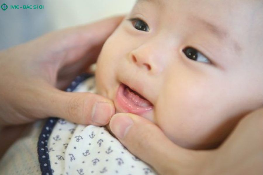 7 tháng bé thường mọc răng nào?