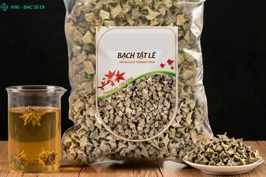 Bạch tật lê chứa hoạt chất Diosgenin giúp kích thích sản sinh Testosterone tự nhiên, bồi bổ hệ sinh dục nam giới một cách bền vững