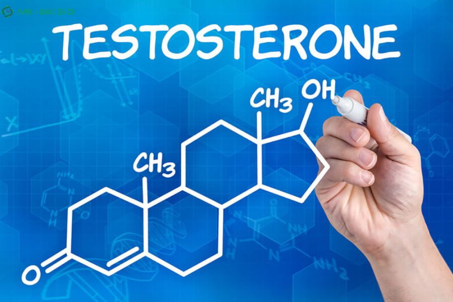 Tác động của testosterone đến khả năng sinh sản