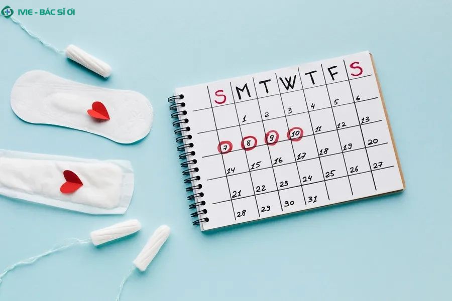 Theo dõi chu kỳ kinh nguyệt hàng tháng là cách đơn giản nhất để giám sát sức khỏe sinh sản