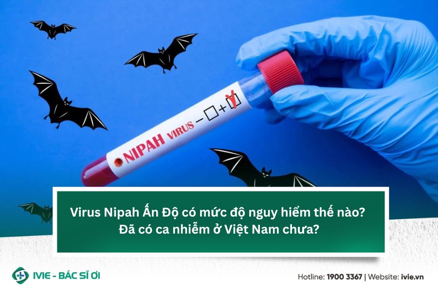 Virus Nipah Ấn Độ có mức độ nguy hiểm thế nào? Đã có ca...