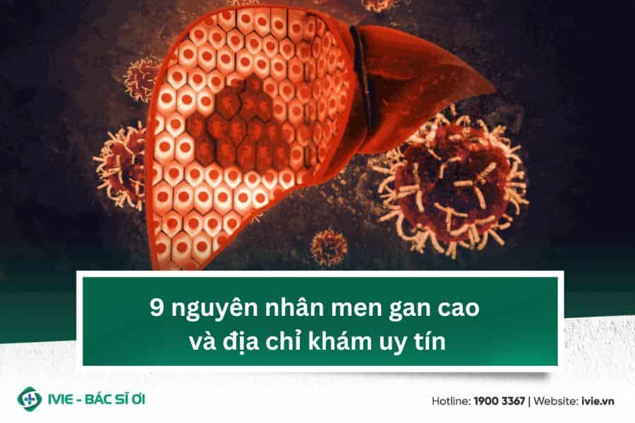 9 nguyên nhân men gan cao và địa chỉ khám uy tín