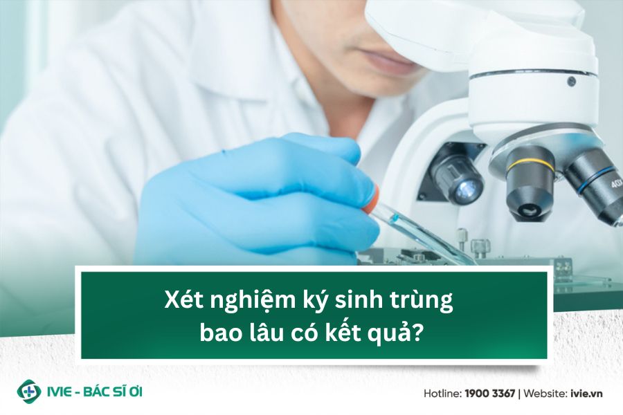 Tìm hiểu thêm: Xét nghiệm ký sinh trùng bao lâu có kết quả?