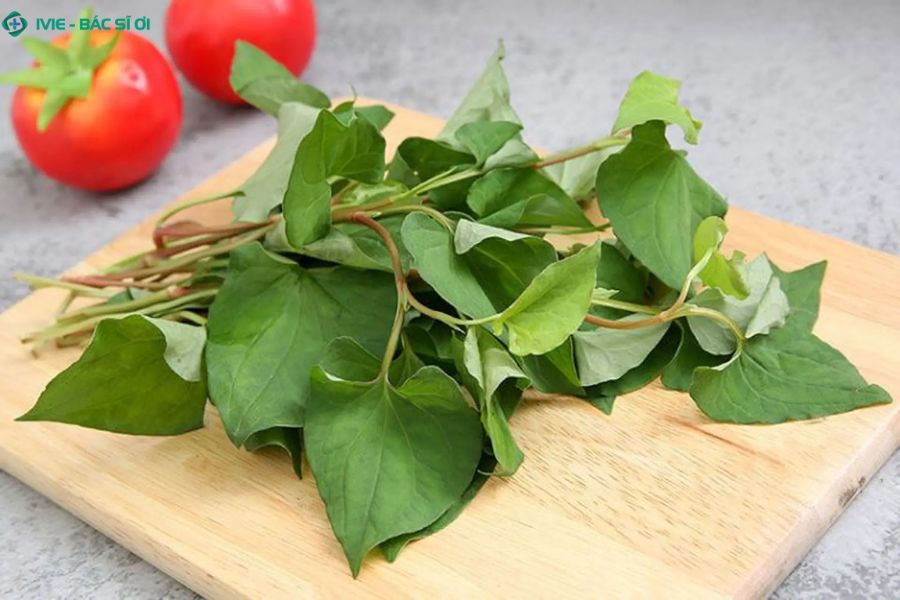 Rau diếp cá vị thuốc dân gian giúp thanh nhiệt, tiêu viêm và giảm ho hiệu quả ngay tại nhà