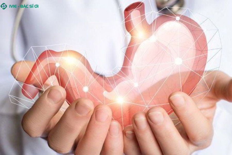 Tái khám và nội soi định kỳ để kiểm tra sự lành của ổ loét, đảm bảo niêm mạc dạ dày đã hồi phục hoàn toàn