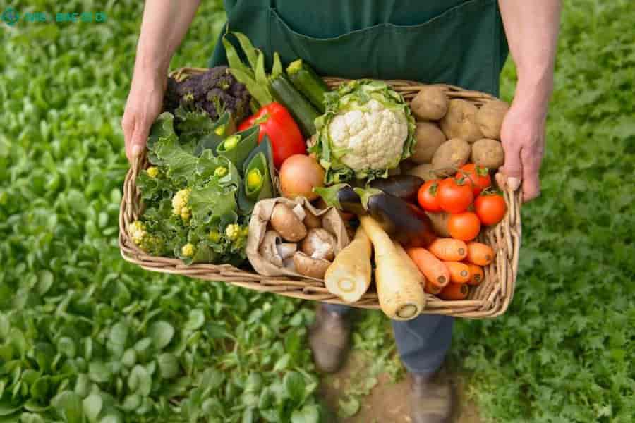Thực phẩm hữu cơ loại bỏ hoàn toàn hóa chất, thuốc trừ sâu nguy hại, giúp giải phóng hoàn toàn gánh nặng giải độc cho tế bào gan