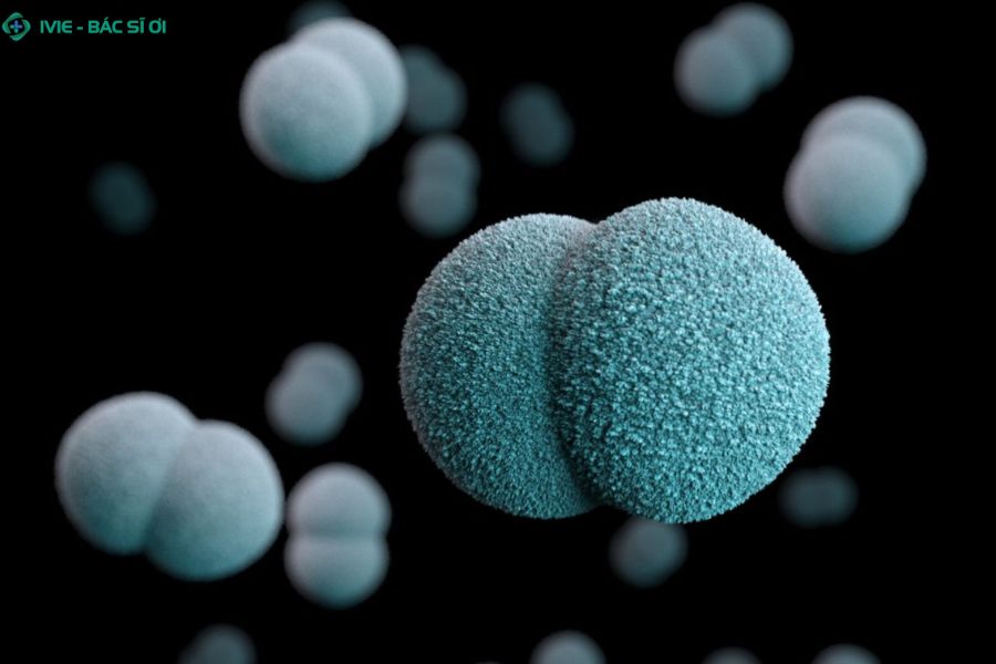 Viêm não mô cầu là bệnh nhiễm khuẩn cấp tính do vi khuẩn Neisseria meningitidis