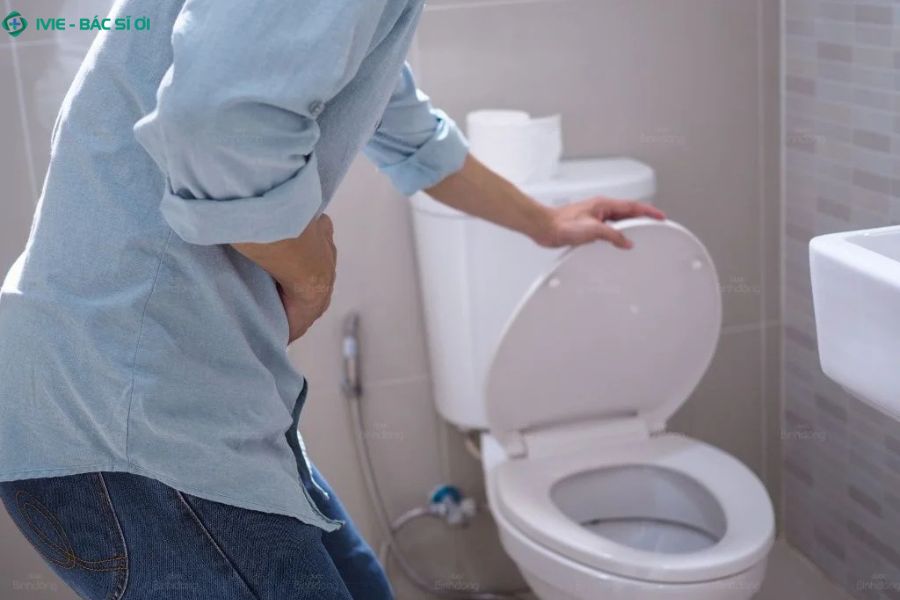 Biểu đồ tần suất đi tiểu bình thường của người trưởng thành trung bình 7-8 lần/ngày, cách nhau khoảng 2,5-3 tiếng/lần