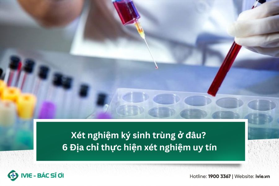 Xét nghiệm ký sinh trùng ở đâu? 6 Địa chỉ thực hiện xét...