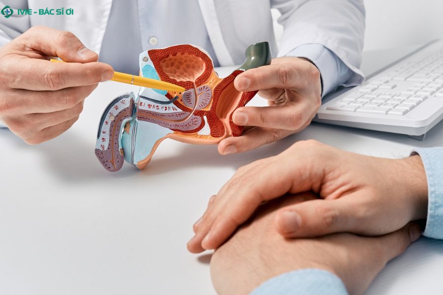 Phì đại tuyến tiền liệt ở nam giới trung niên gây chèn ép niệu đạo