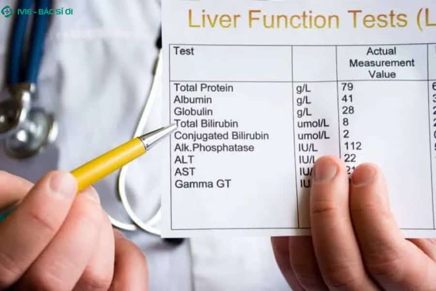 các chỉ số men gan cơ bản (AST, ALT, GGT, ALP) ở ngưỡng bình thường an toàn