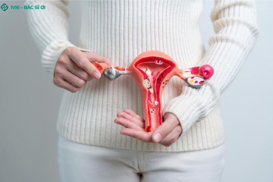 Các biện pháp chăm sóc tại nhà chỉ hỗ trợ kiểm soát triệu chứng chứ không thể làm biến mất hoàn toàn khối u xơ cơ đặc