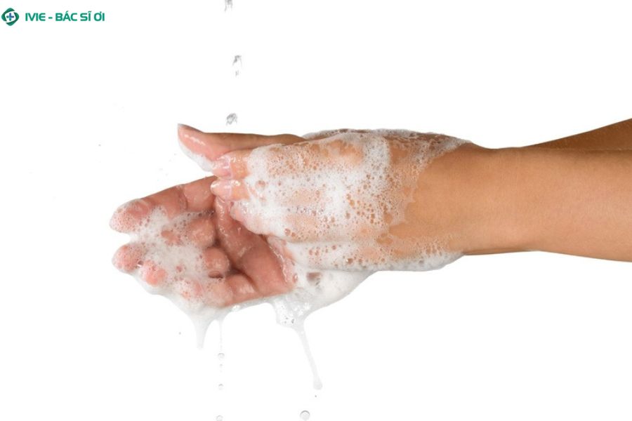 Biện pháp phòng ngừa virus Nipah