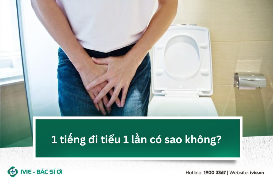 1 tiếng đi tiểu 1 lần có sao không?