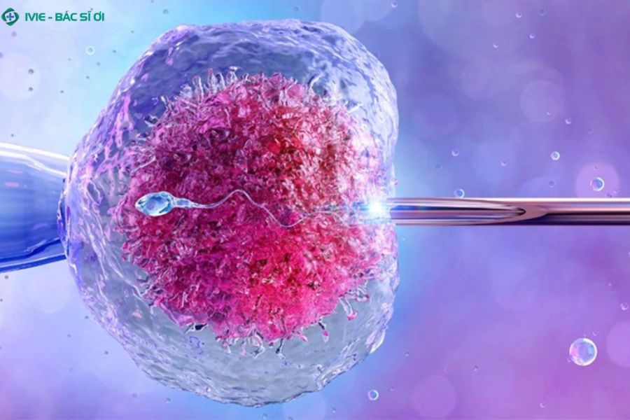 Yếu tố ảnh hưởng đến thành công IVF ở tuổi 42