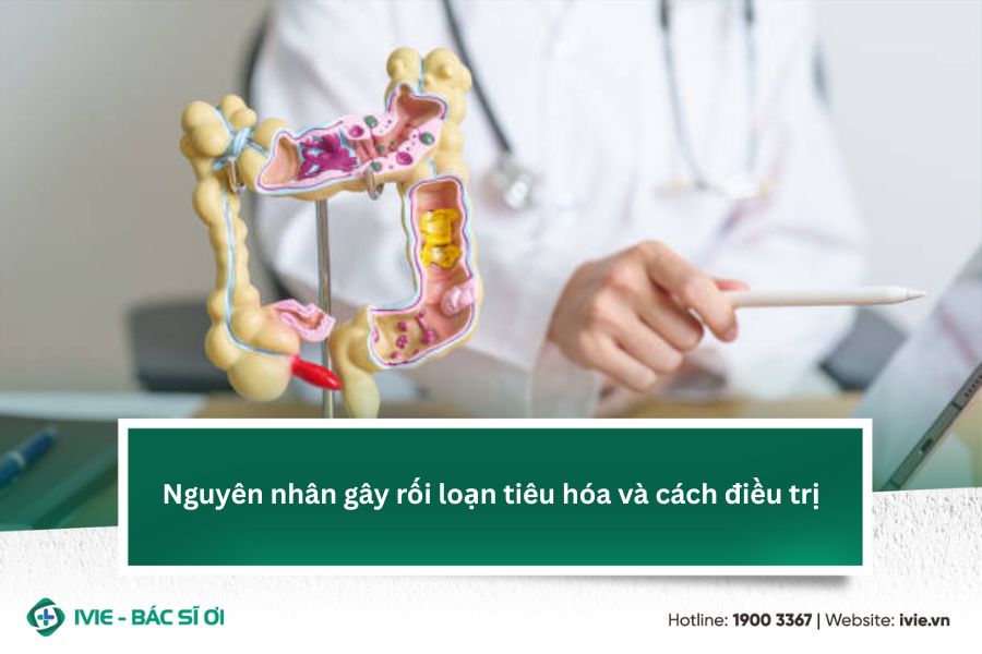Nguyên nhân gây rối loạn tiêu hóa và cách điều trị