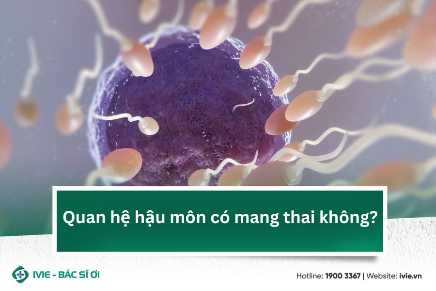 Quan hệ hậu môn có mang thai không?